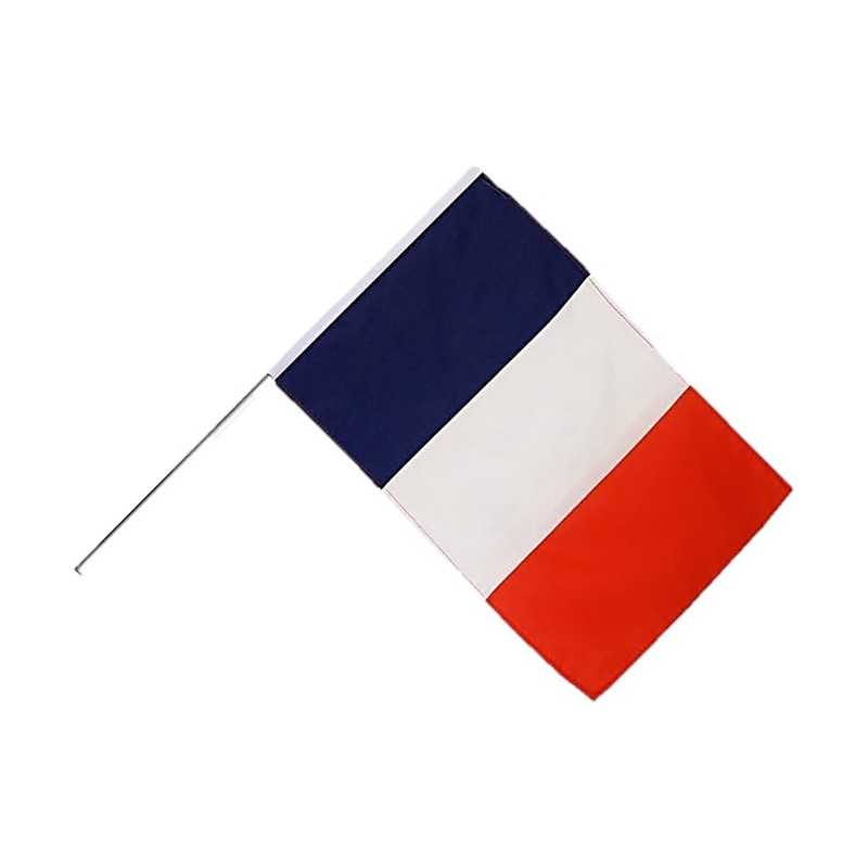 Guirlande Drapeaux France Bleu Blanc Rouge 5m en 2023  Bleu blanc rouge,  Drapeau bleu blanc rouge, Drapeau francais